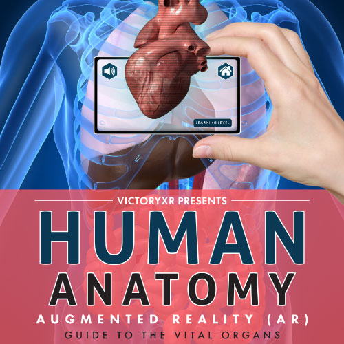 human anatomy augmented reality book cover