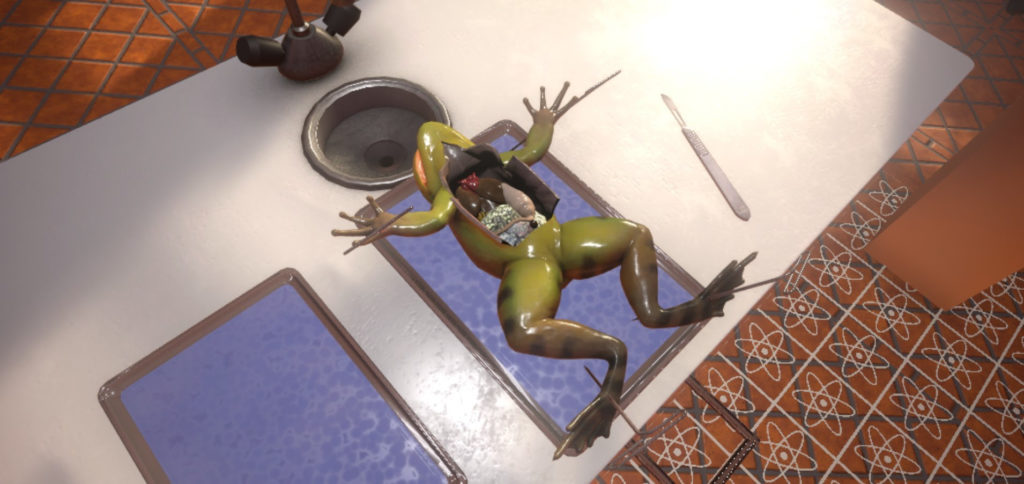 screenshot in virtual reality of Frog Dissection