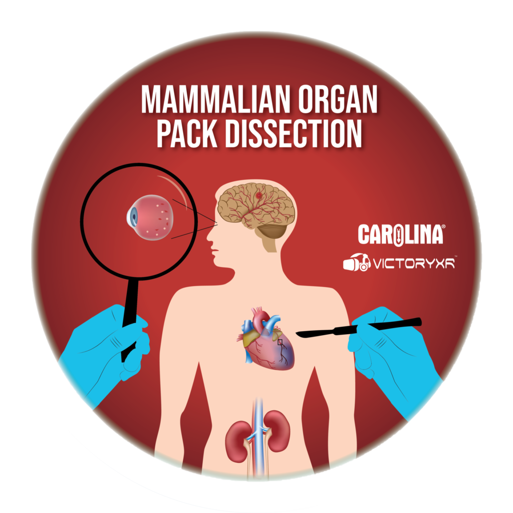 virtual reality organ pack dissection logo graphic