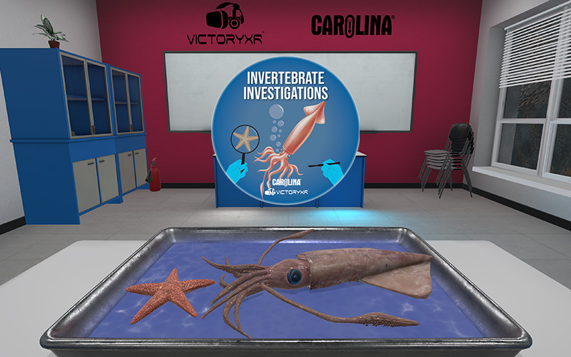virtual reality squid dissection with logo