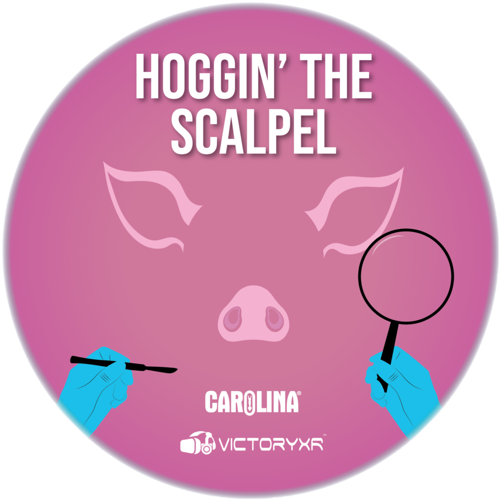 virtual reality pig dissection logo