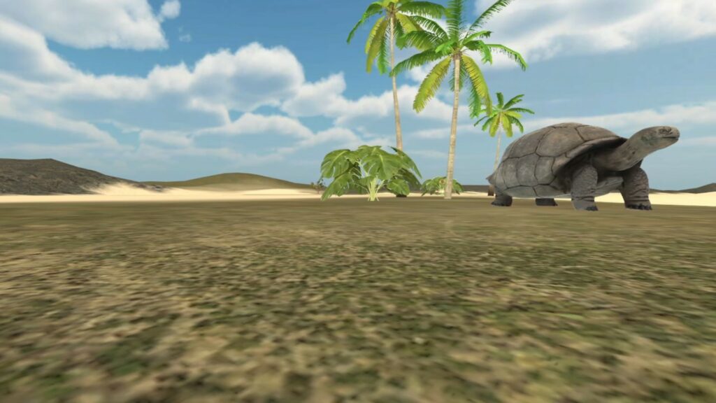 virtual reality screenshot of Galapagos turtle environment