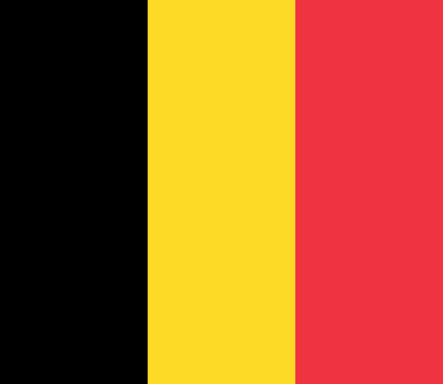 the Belgium flag