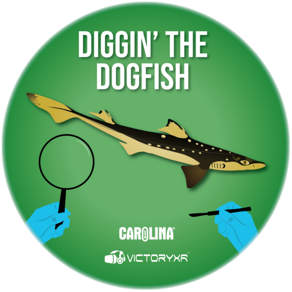 virtual reality dogfish dissection logo