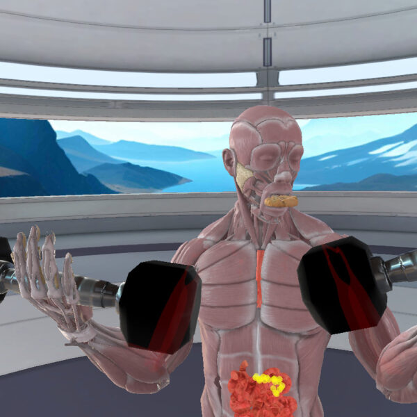 Tomi the Anatomical Figure VR K-12 and Homeschool Experience in VXRLabs