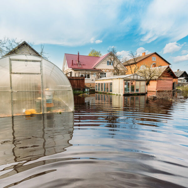 Vegetable Garden Beds In Water During Spring Flood floodwaters during natural disaster. Greenhouse Hothouse in Water deluge During A Spring Flood. inundation River.